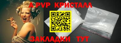 кокс Кингисепп