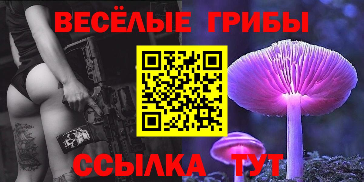 Галлюциногенные грибы Psilocybine cubensis Воркута